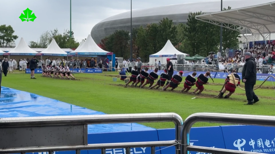 verti, img, nt verti, img, nt