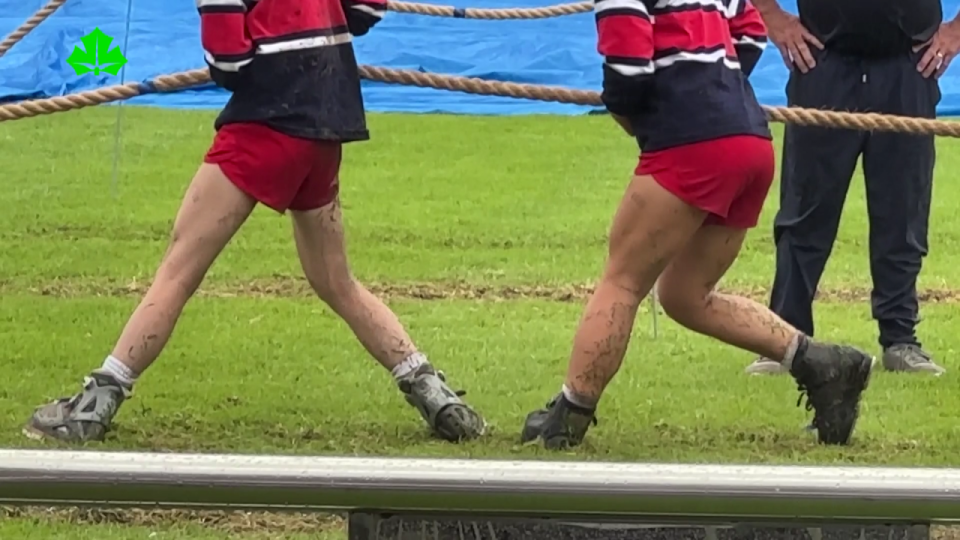 粗壮的双腿, 抓地力 粗壮的双腿, 抓地力