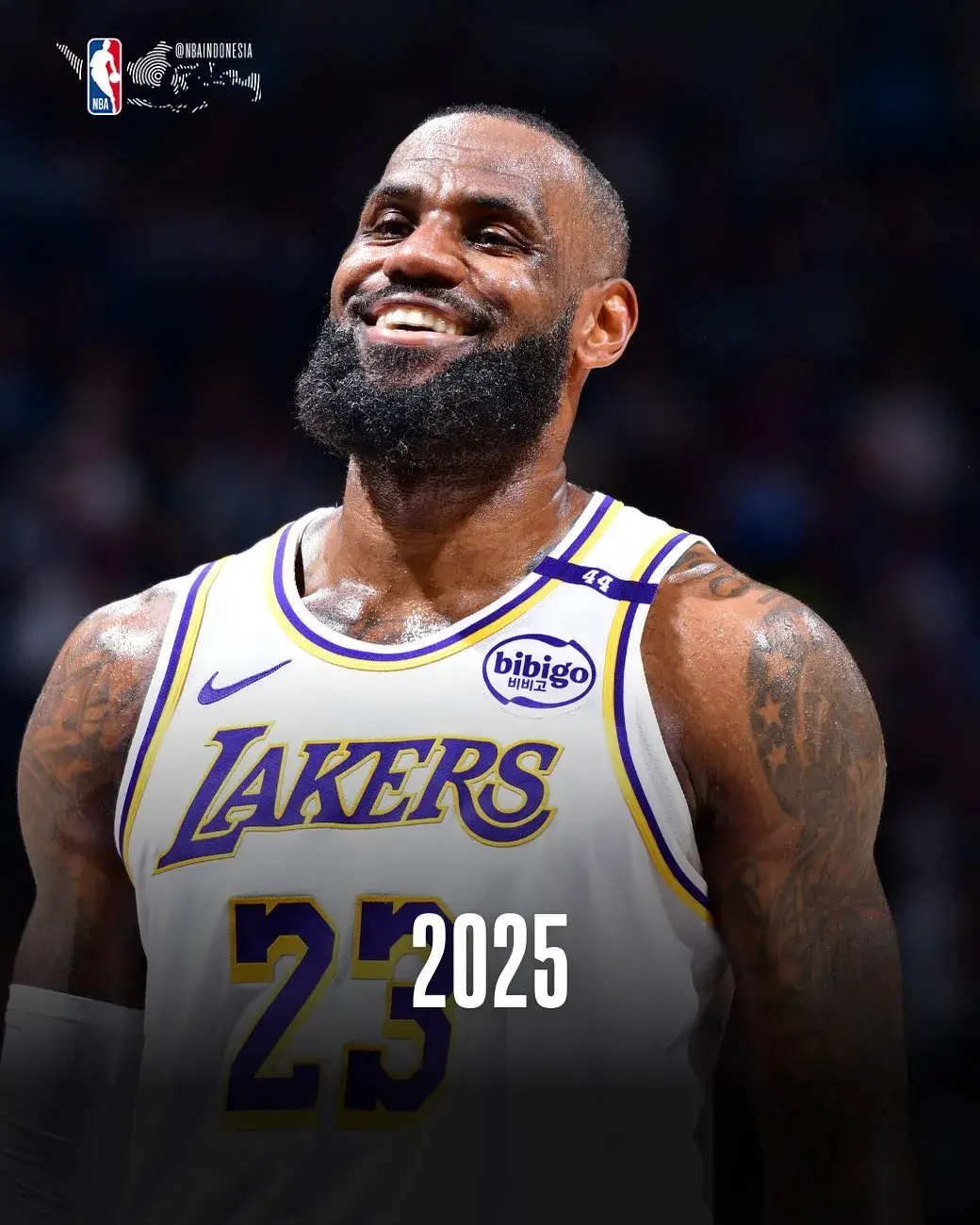 迷媒体纷纷 迷媒体纷纷