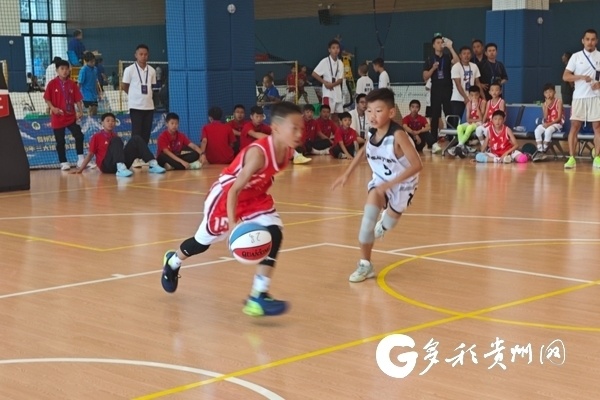 更是塑造健, QlD, gtimg 更是塑造健, QlD, gtimg